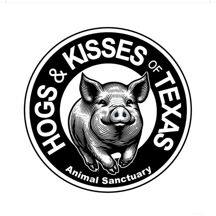 hogskissestx