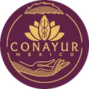 @dr_ayurveda