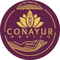 dr_ayurveda
