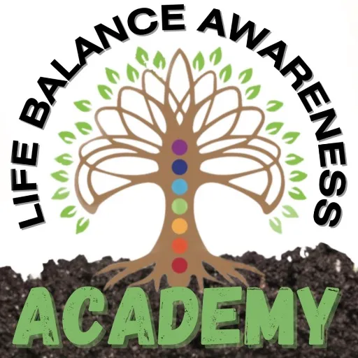 lbaacademy
