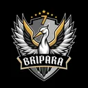 @bripara7bdg