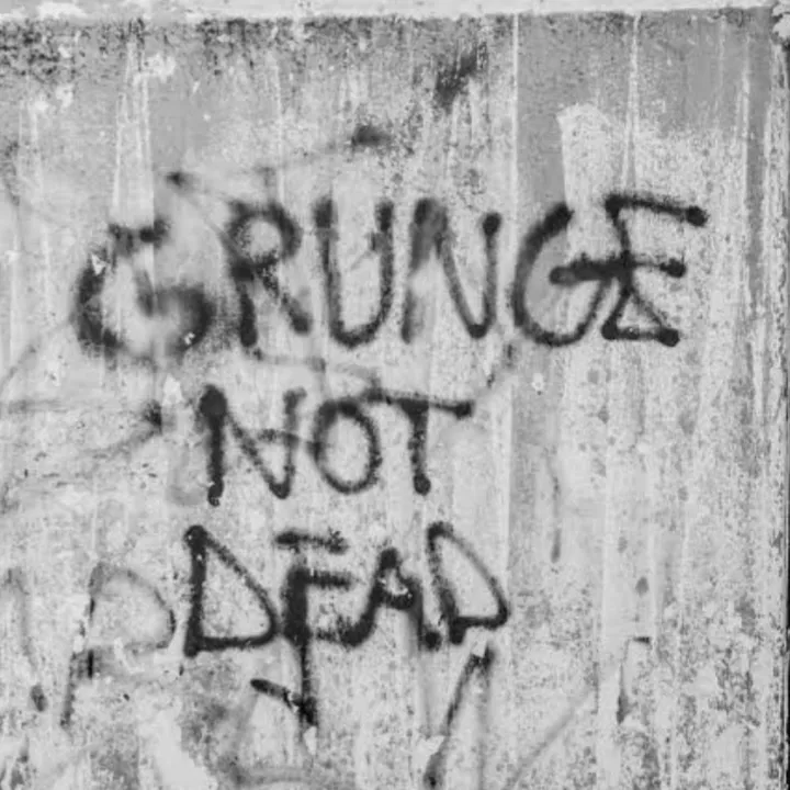 @reviving_grunge