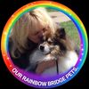 ourrainbowbridgepets