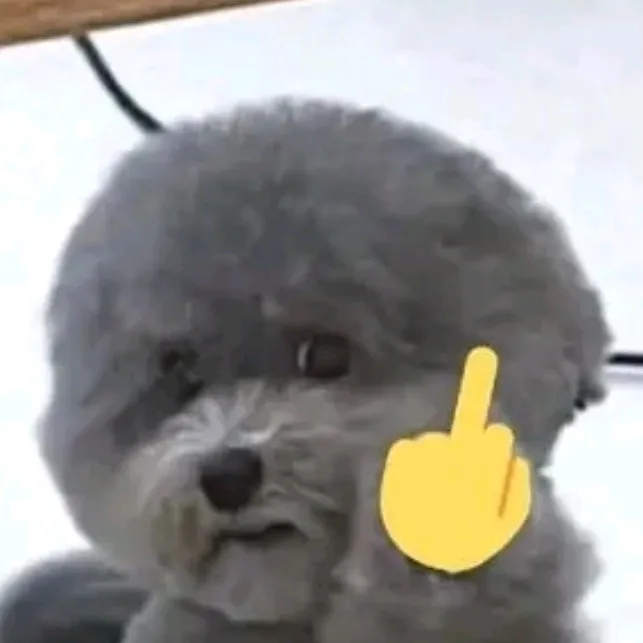 @babao1628