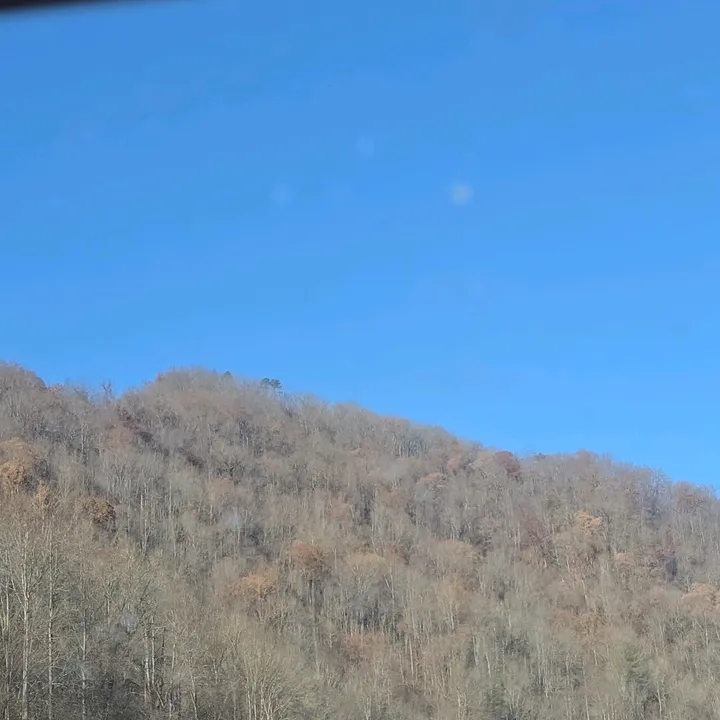 @dangthatscrazy5