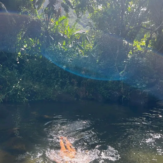 @daianeviana4785