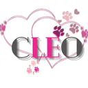 @cleo.shihtzu