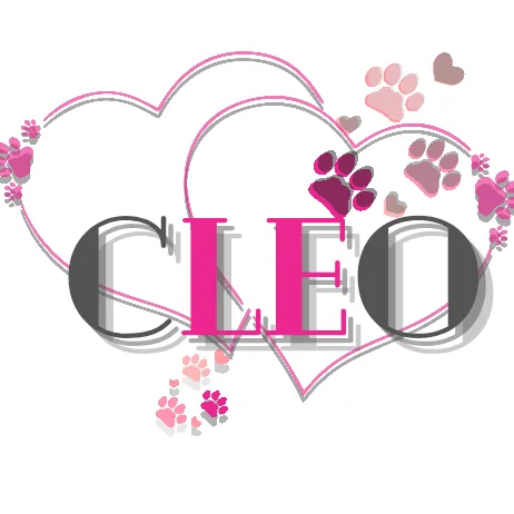 cleo.shihtzu