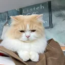 @mr_kun3