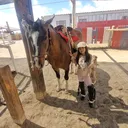 @amparo.robles46