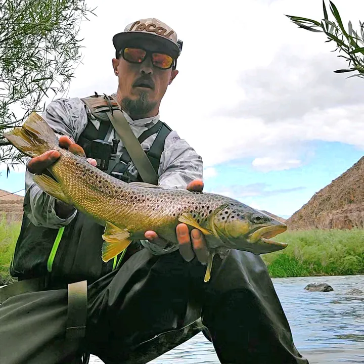 willystylez.fishing