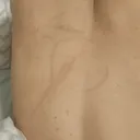 @etalfon