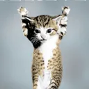 @coolestdude99