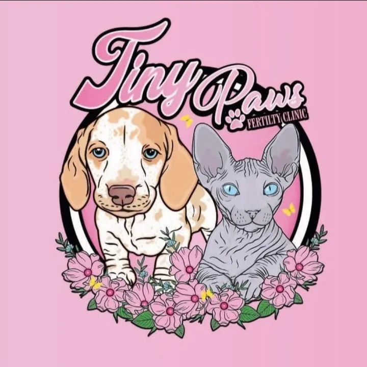tinypaws12
