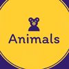 animals