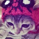 @dabloon_catt12