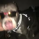 @canyon.leo