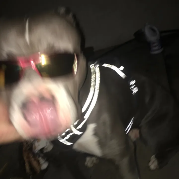 @canyon.leo