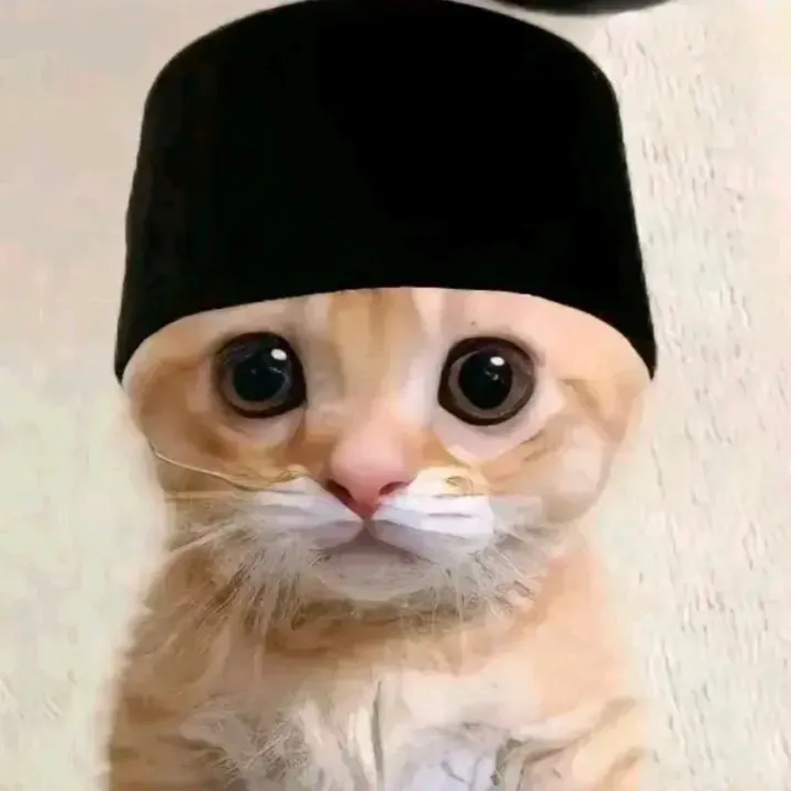 wawank.08
