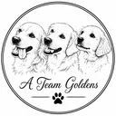 @ateam.goldens