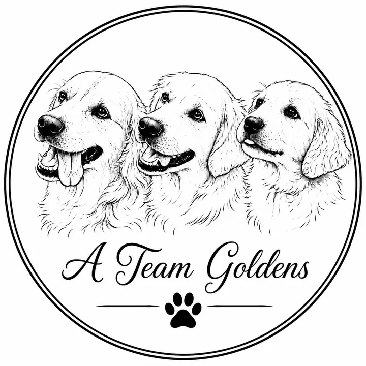 ateam.goldens