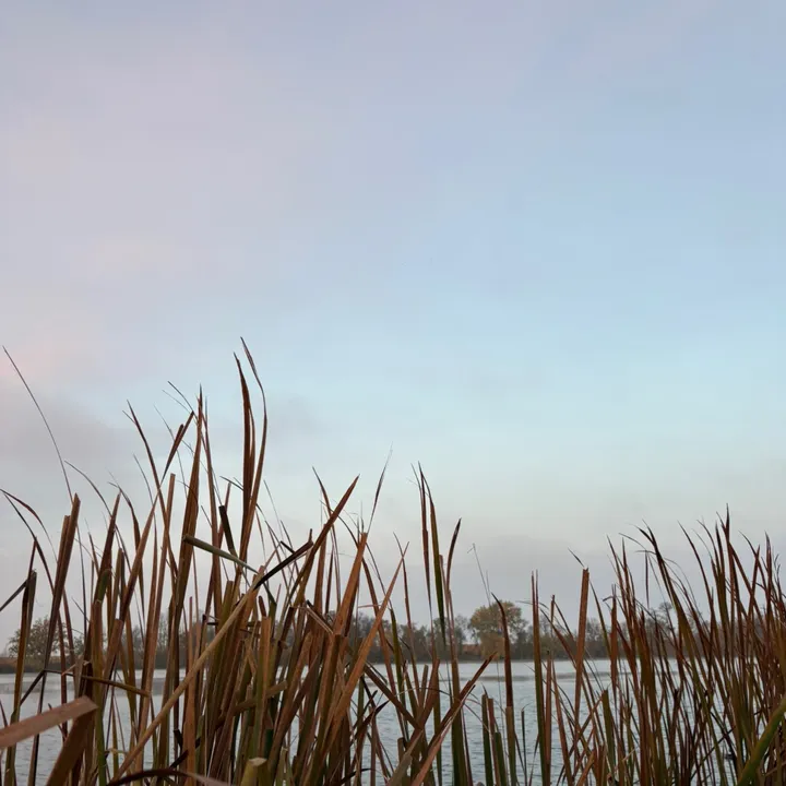 ea.fishing2