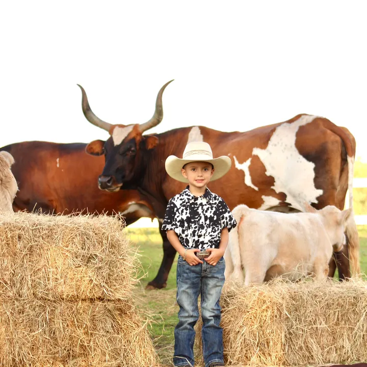 morinranch