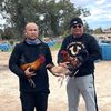 lagamefarm1