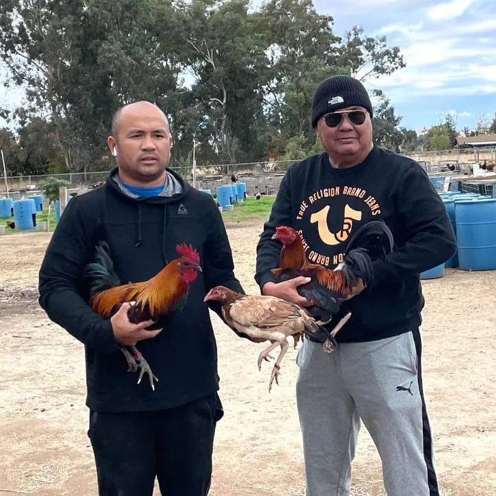 lagamefarm1