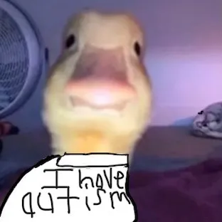 itsnot.andrew0