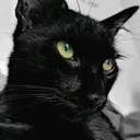 @simosimo.82