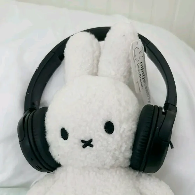 miffy.lyrics