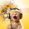 kittensingg