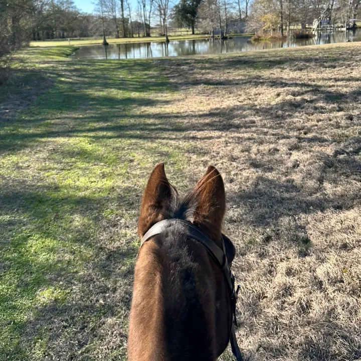 @etta.corbell_eq