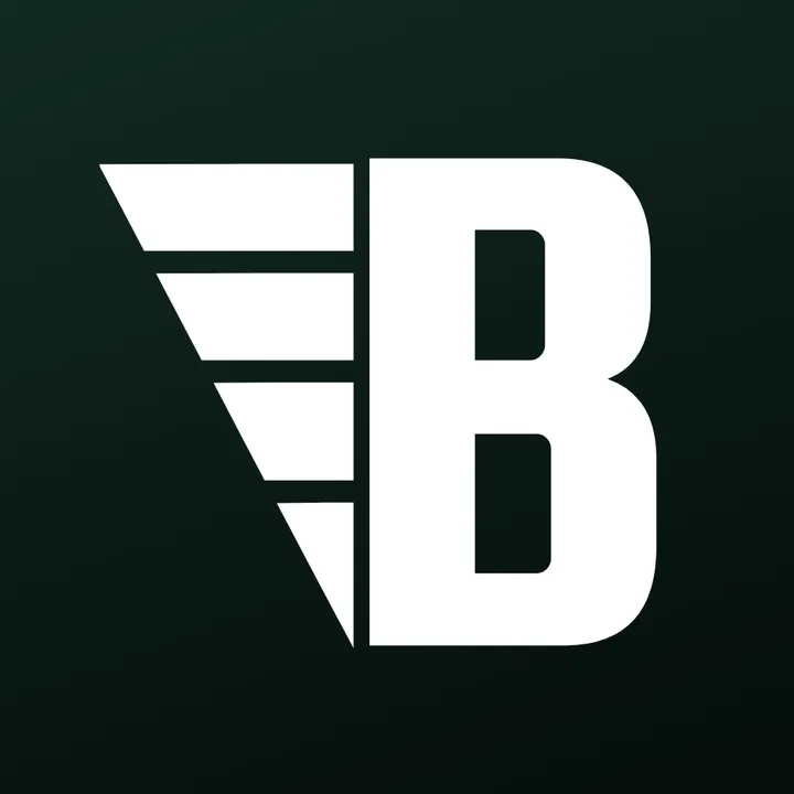 babincoaching