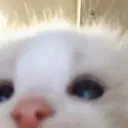 @th3eepyalt
