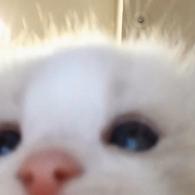 @th3eepyalt