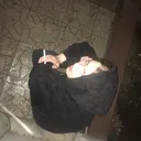 @v.ch.01