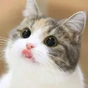 @39dappa