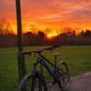 owen_2010101010101101010