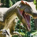 @raptor3150