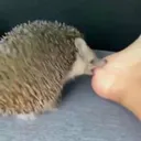 @lilbtch2.0