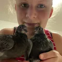 @jennis_catly_booktok
