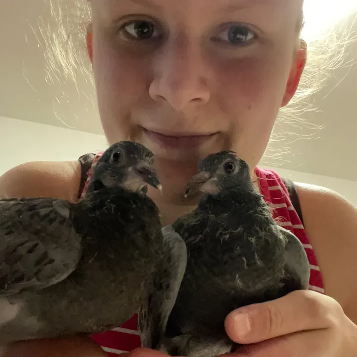 jennis_catly_booktok