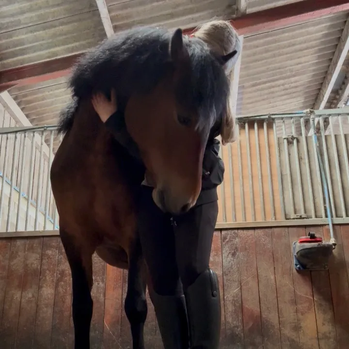 @freya_thatequestrian