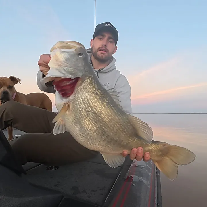 jack_smacks_bass