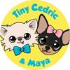 tinychihuahuacedric