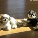 @meliscengiz0