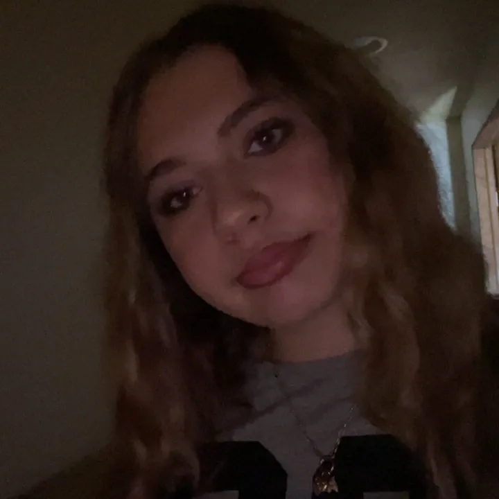 am1a31