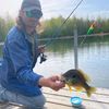 riverotter3